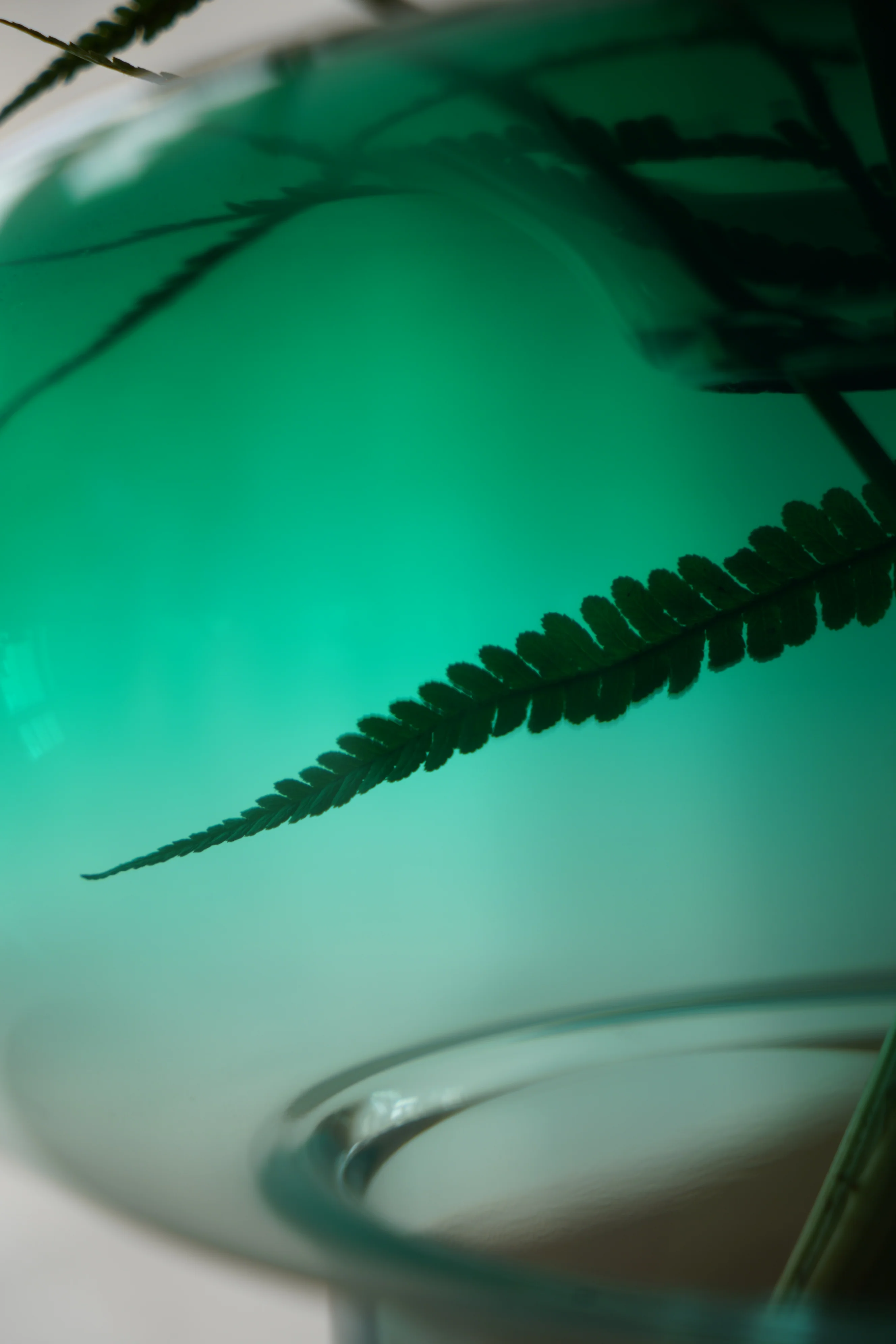 ORIO vase / Green - Image 5
