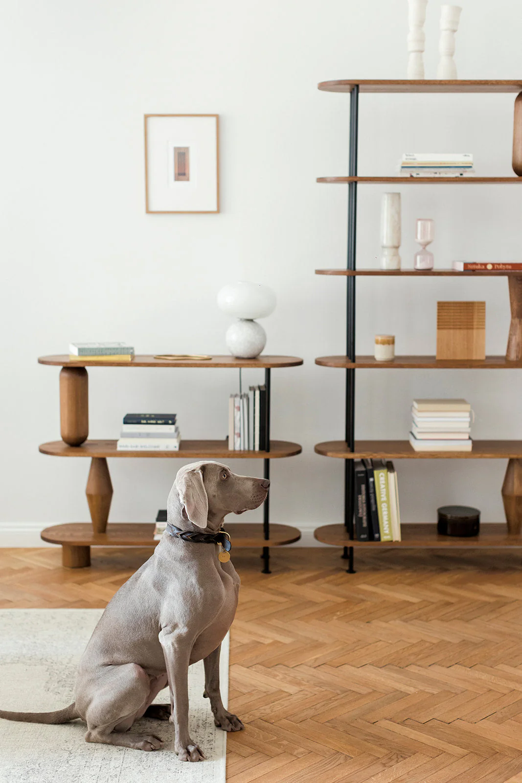VAZOO 4 bookcase - Image 14